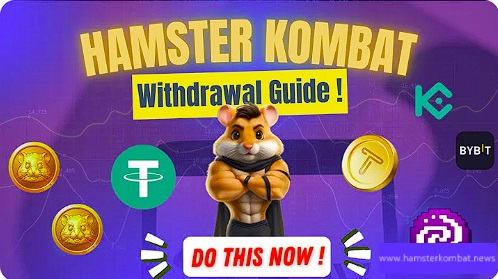 Hamster Kombat Withdrawal Guide